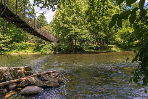 Treetop Tennessee - image 8