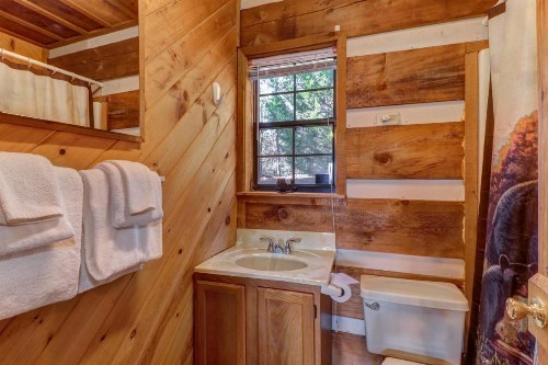 Treetop Tennessee - image 9