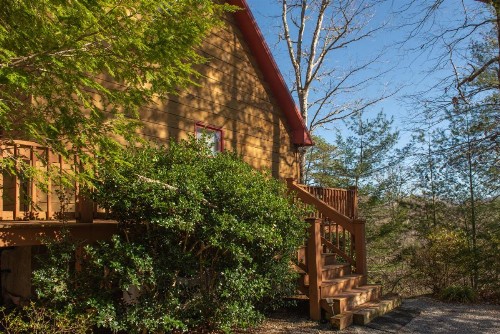 Southern Comfort - image 6