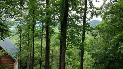 Blessed Nest Cabin townsend Tennessee