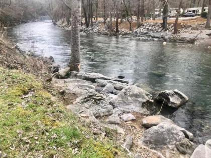 River Dreaming - image 14