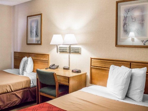 Econo Lodge Traverse City - image 49