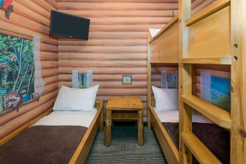 Great Wolf Lodge Traverse City - image 7