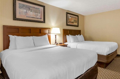 Comfort Inn Traverse City - image 15