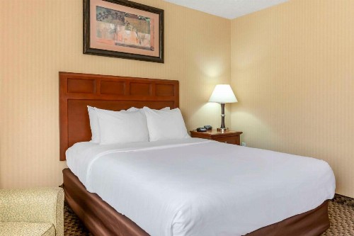 Comfort Inn Traverse City - image 6