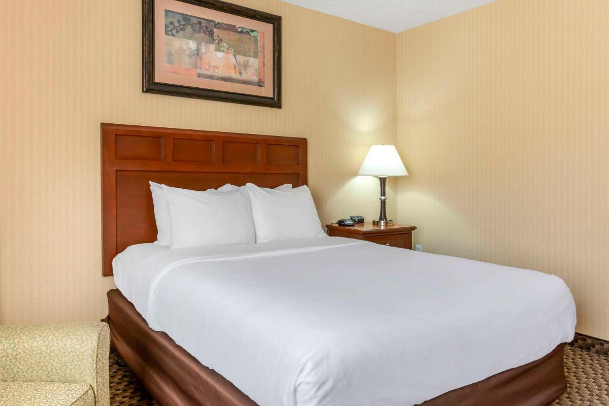 Comfort Inn Traverse City - image 6