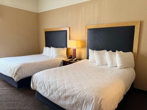 Cambria Hotel Traverse City - image 12