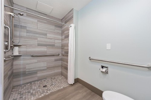 Cherry Tree Inn and Suites - image 50