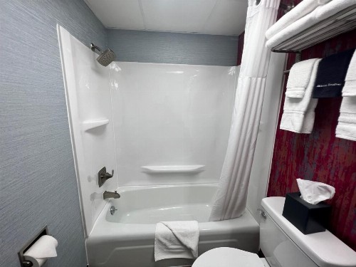 The Beach Haus - Traverse City - image 12