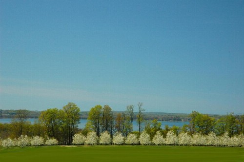 A Breath of Heaven B&B - image 14