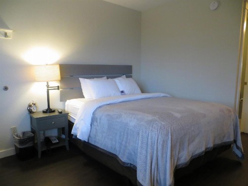 Brio Beach Inn - image 5
