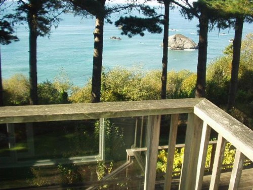 Lost Whale Inn - image 16