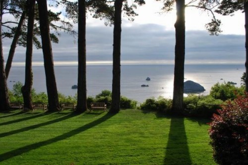 Lost Whale Inn - image 27