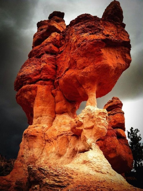 Red Ledges Inn - image 2