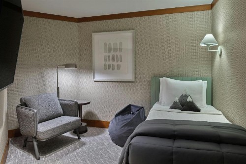 The Ritz-Carlton Lake Tahoe - image 32
