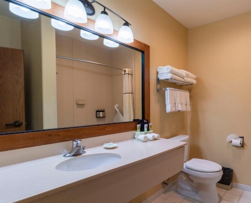 Truckee Donner Lodge - image 10