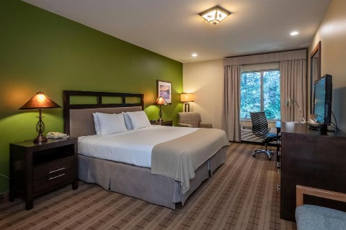 Truckee Donner Lodge - image 11
