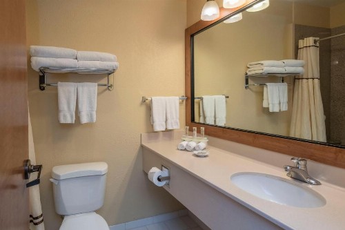 Truckee Donner Lodge - image 25