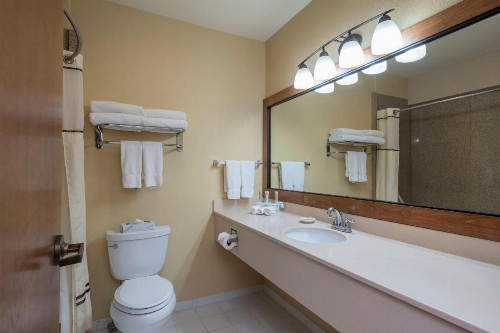 Truckee Donner Lodge - image 27