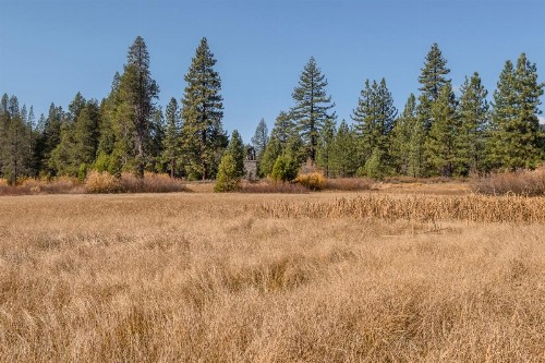 Truckee Donner Lodge - image 4