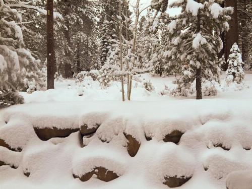 Truckee House - image 7