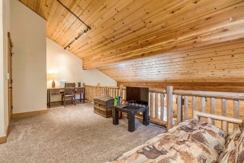 Snowmass Log Home on the River - image 11