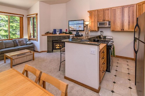 4044 Ski View Condo - image 7