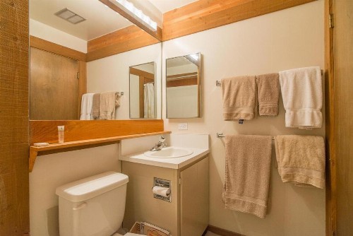 Albert by Tahoe Truckee Vacation Properties - image 10