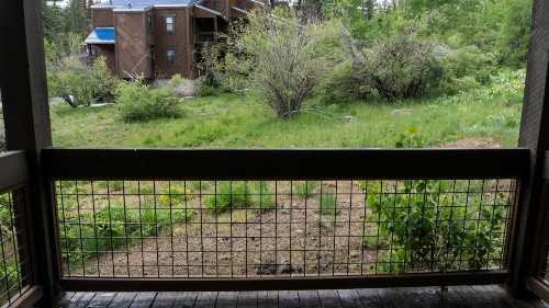 Aspen Grove 3090 - image 25