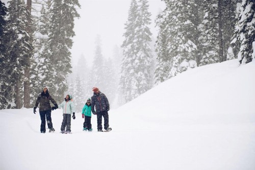 Ski Trails 4015 - image 2
