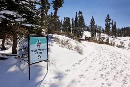Silverbranch Retreat - image 4