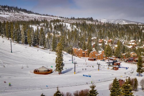 Serventi Tahoe Donner Cabin - image 11