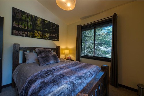 Mountain Modern on Tahoe Donner Greenbelt - image 8