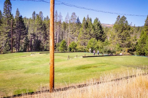 Tastefully-Updated Classic Tahoe Family Home - image 7