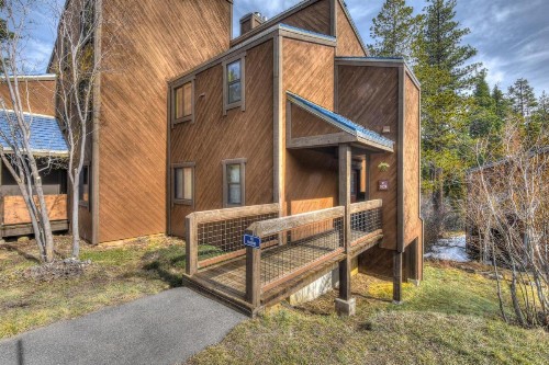 Silver Tree Sanctuary - image 10