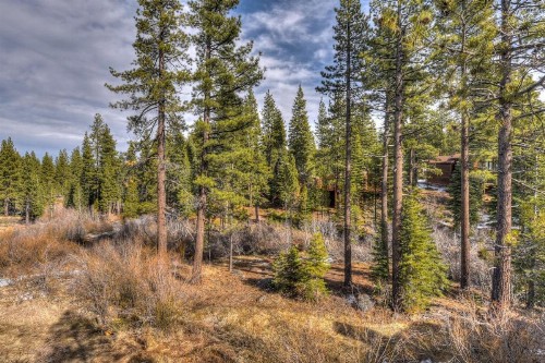 Silver Tree Sanctuary - image 12