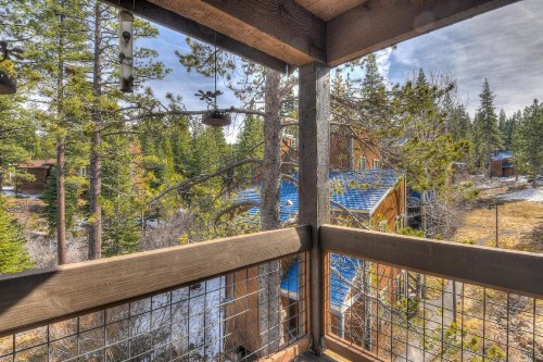 Silver Tree Sanctuary - image 5