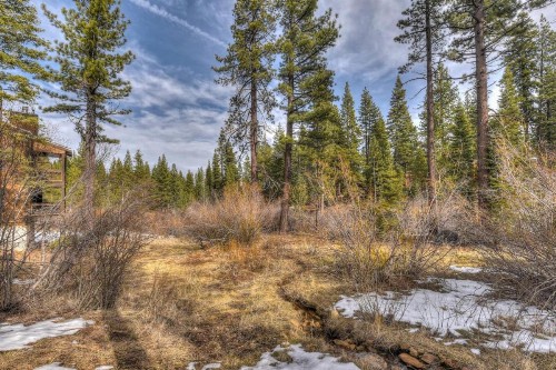 Silver Tree Sanctuary - image 7