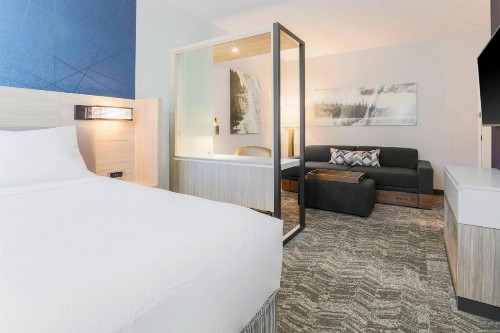 SpringHill Suites by Marriott Truckee - image 16