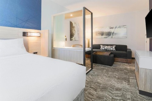 SpringHill Suites by Marriott Truckee - image 18