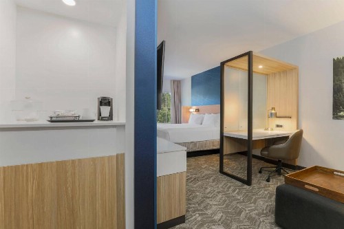SpringHill Suites by Marriott Truckee - image 26