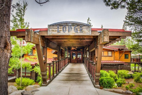 Tahoe Bear Den