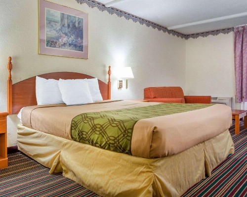 Econo Lodge Stone Mountain - image 2