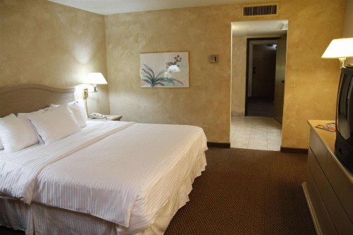 Ramada by Wyndham Viscount Suites Tucson East - image 46