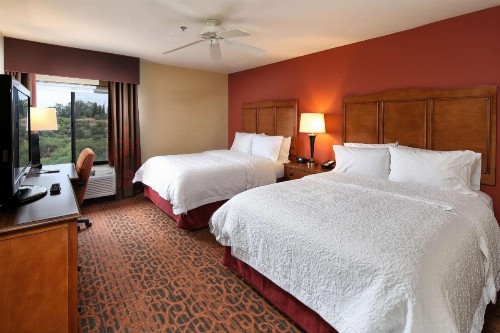 Hampton Inn & Suites Tucson Mall - image 18