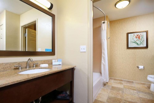 Hampton Inn & Suites Tucson Mall - image 31