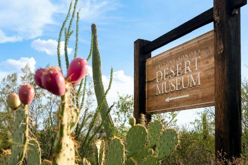 Hyatt Place Tucson Central - image 6