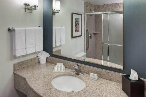 Hilton Garden Inn Tucson Airport - image 19