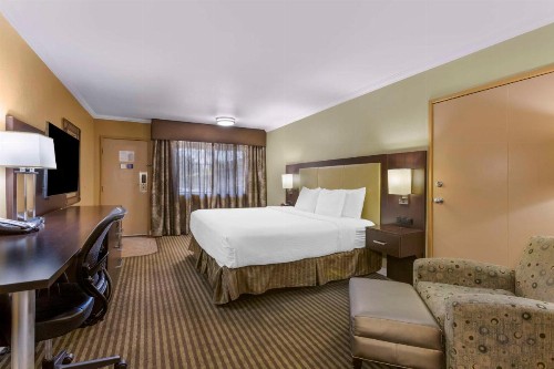 Best Western Royal Sun Inn & Suites - image 14