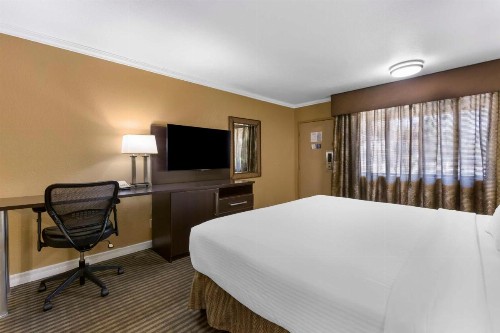 Best Western Royal Sun Inn & Suites - image 15